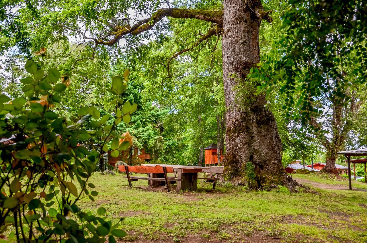 Cabanas Aylen Hotell Pucón Exteriör bild